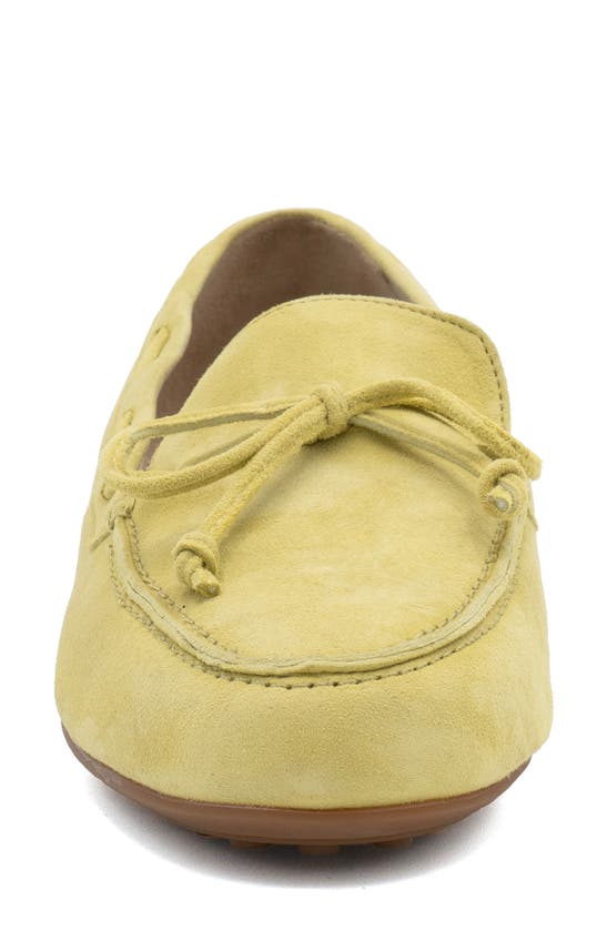 Shop Amalfi By Rangoni Dubblino Driving Loafer In Lime Light Cashmere