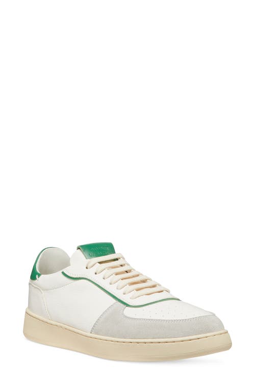 Shop Stuart Weitzman Sw Courtside Sneaker In Light Grey/white/green