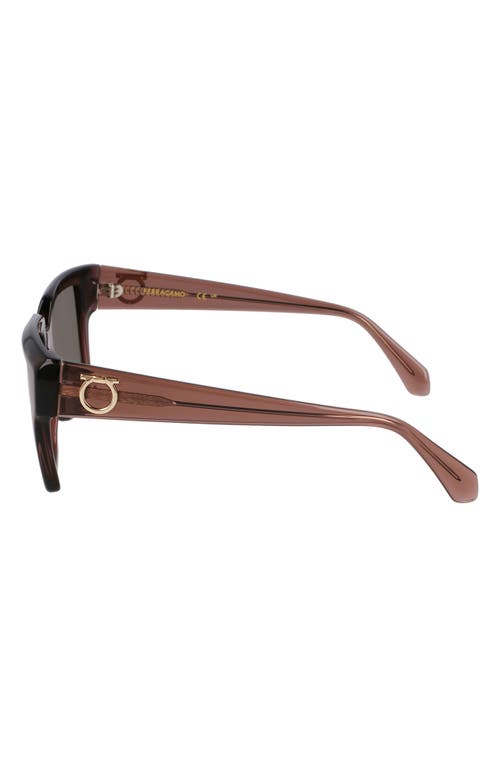 Ferragamo Gancini Acetate Square Sunglasses In Transparent Mauve