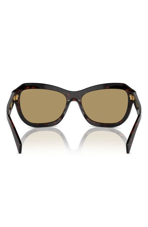 PRADA PRADA 62MM OVERSIZE BUTTERFLY SUNGLASSES