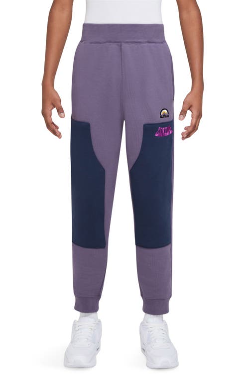 Nike Kids' Lebron Cotton Blend Sweatpants In Purple
