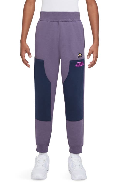 Nike Kids' Lebron Cotton Blend Sweatpants in Purple/Navy at Nordstrom, Size Xl