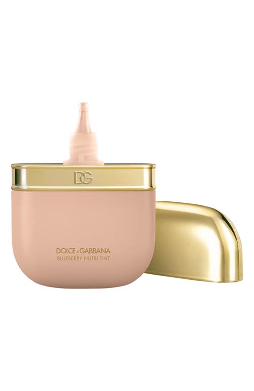 Dolce & Gabbana Dolce&gabbana Blueberry Nutri-tint Hydra-glow & Fresh Skin Tint In 9c