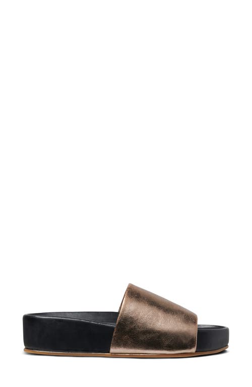 Beek Pelican Slide Sandal In Bronze/black