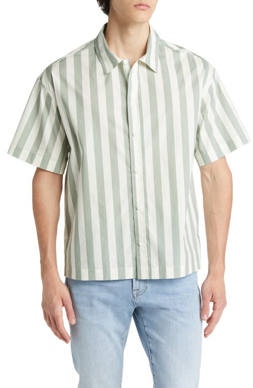 FRAME Stripe Organic Cotton Button-Up Shirt in Desert Sage Stripe at Nordstrom, Size Xx-Large