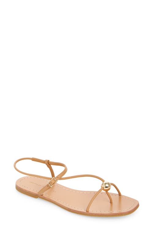 Loeffler Randall Lara Ankle Strap Sandal in Dune at Nordstrom, Size 5.5