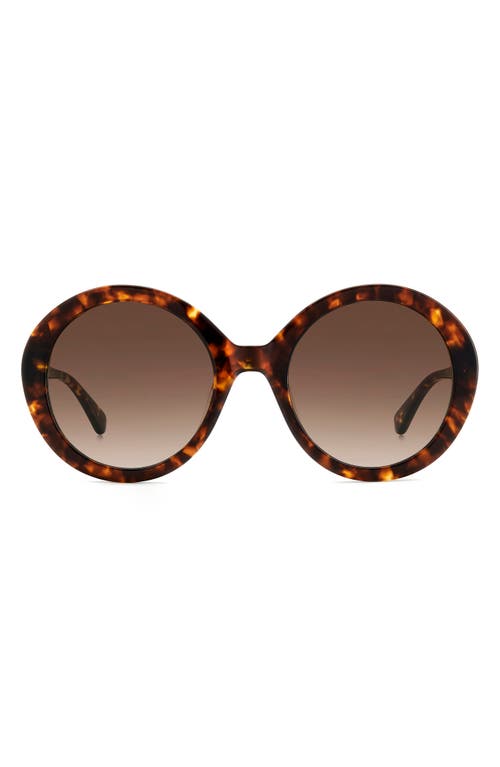 Kate Spade New York zya 55mm gradient round sunglasses in Havana/Brown Gradient at Nordstrom