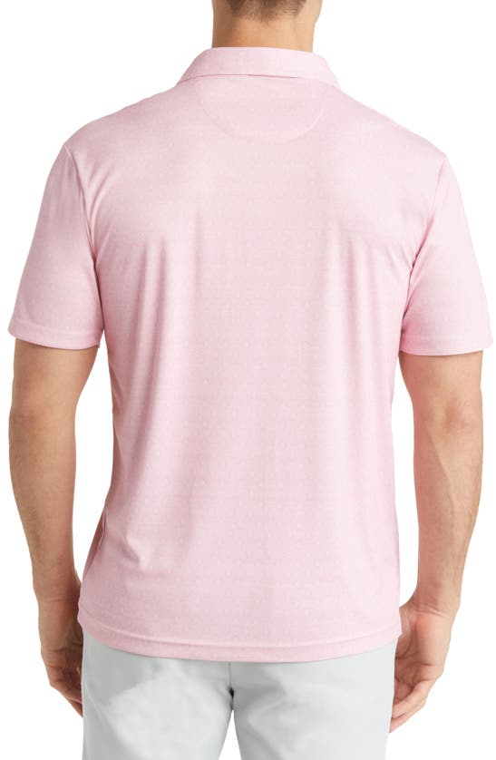 Swannies Eddie B Golf Polo In Flamingo