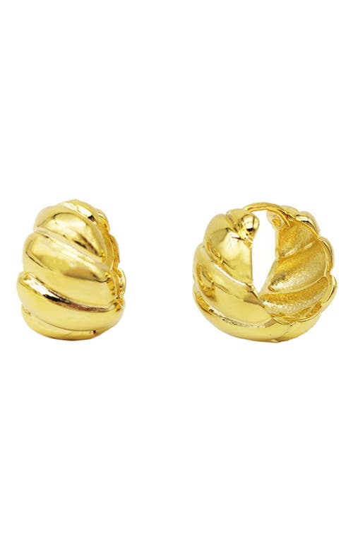 Lia Twisted Huggie Hoop Earrings in Gold