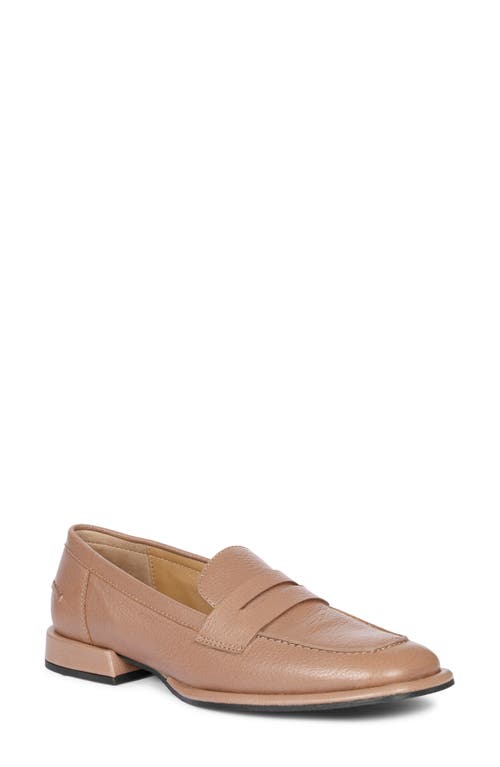 Carla Penny Loafer in Taupe