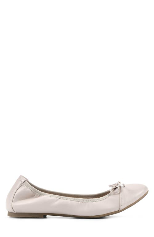 White Mountain Footwear Sunnyside Ii Ballet Flat In Bone/smooth