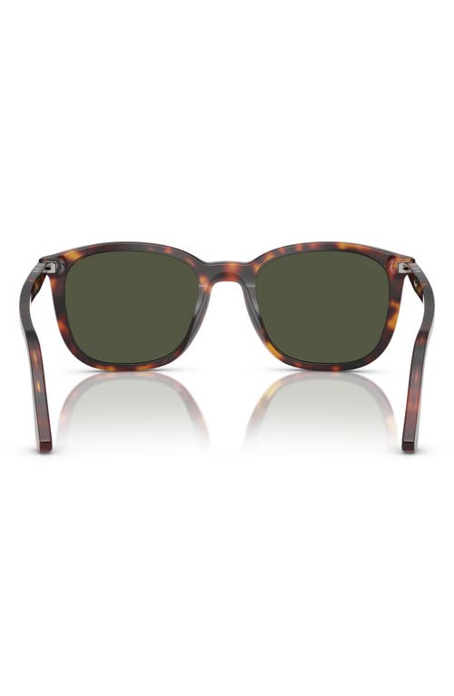 Persol Po3355s In Havana