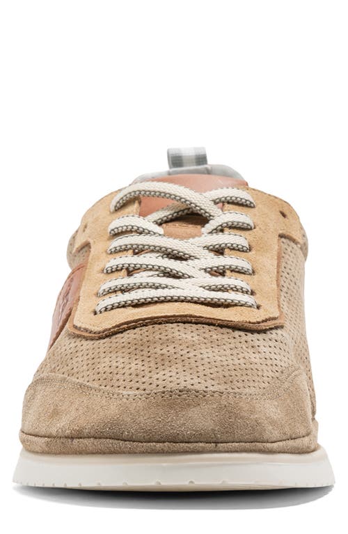 Shop Rodd & Gunn Parnell Sneaker In Sand