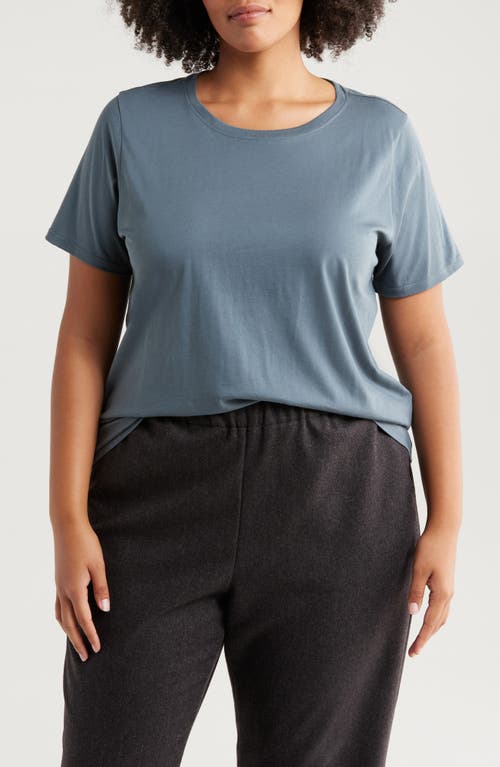 Eileen Fisher Crewneck Organic Cotton T-shirt In Eucalyptus