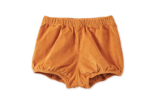 Vild House Of Little In Raw Sienna