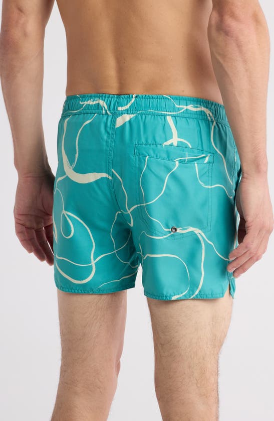 Shop Native Youth Swim Shorts In Teal