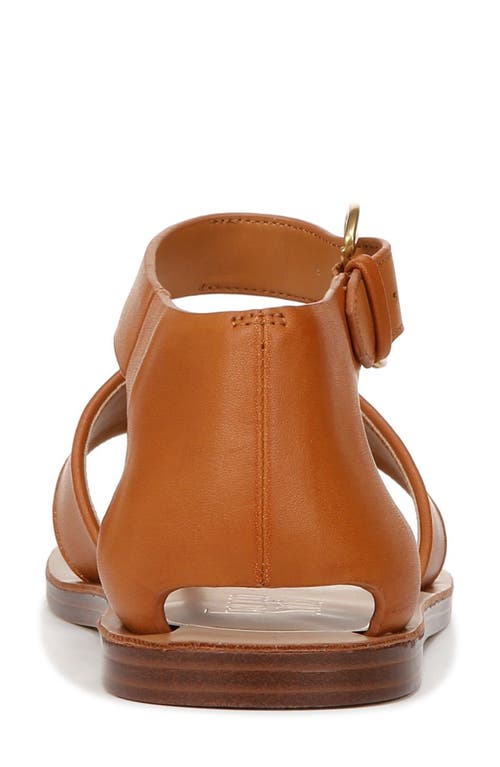 Shop Franco Sarto Ruth Ankle Strap Sandal In Tan