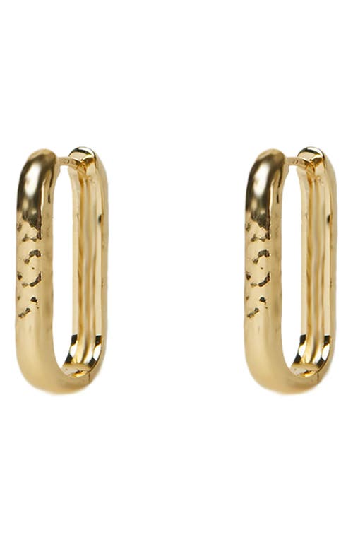 Oblong Hoop Earrings in Gold