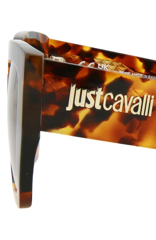 Just Cavalli 53mm Square Sunglasses In Havana Havana Brown