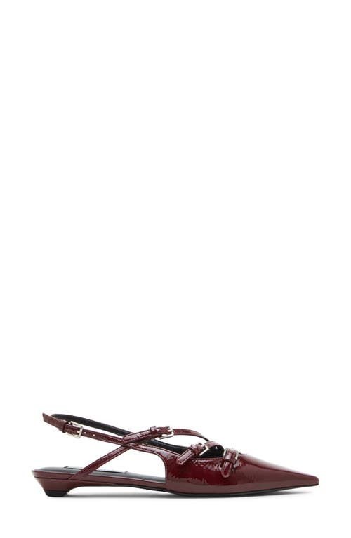 Shop Steve Madden Peony Slingback Pointed Toe Pump In Burg Pat