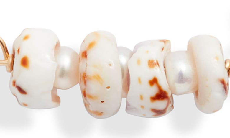 Ki-ele Michelle Dainty Shell & Freshwater Pearl Necklace In Gold