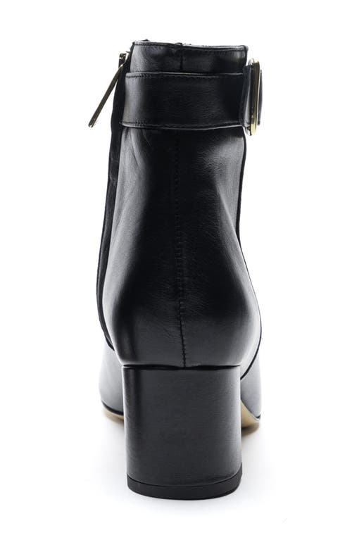 Shop Bruno Magli Petra Pointed Toe Bootie In Black