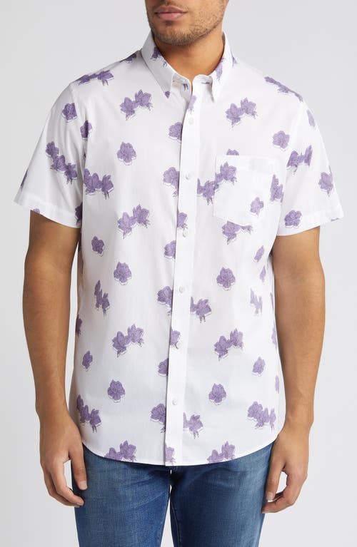 Shop Travismathew Hit The Books Floral Short Sleeve Stretch Button-up Shirt In White