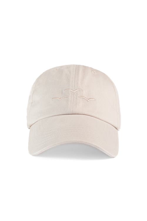 Shop Lazypants Lazy Twill Bucket Hat In Bone