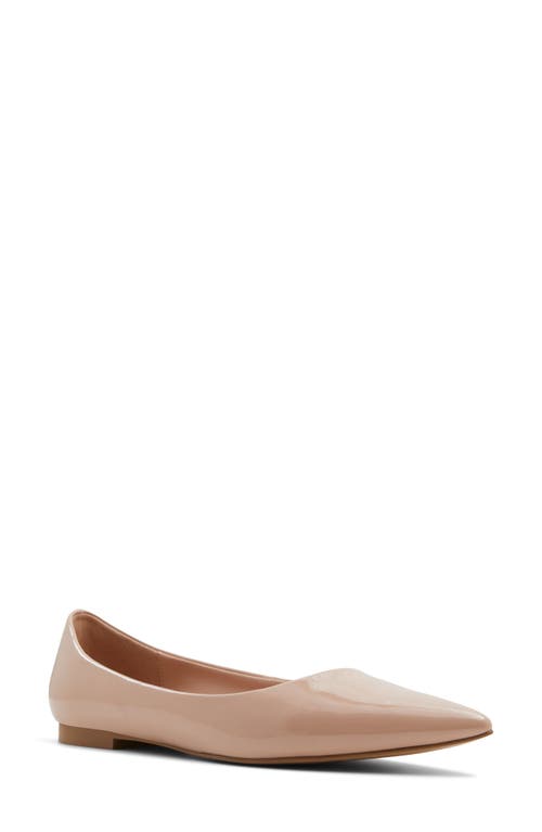 ALDO Stessy Pointed Toe Flat in Bone at Nordstrom, Size 10