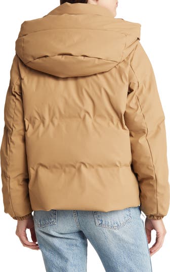 Hooded Puffer Coat | Nordstrom