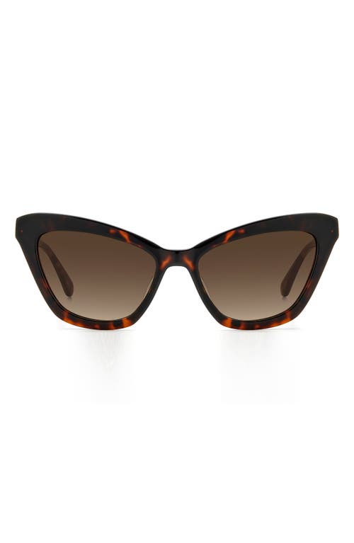 Kate Spade New York Amelie 54mm Gradient Cat Eye Sunglasses In Black