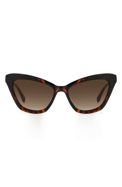 Shop Kate Spade New York Amelie 54mm Gradient Cat Eye Sunglasses In Havana/brown