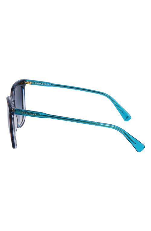 Longchamp 53mm Rectangular Sunglasses In Havana/azure