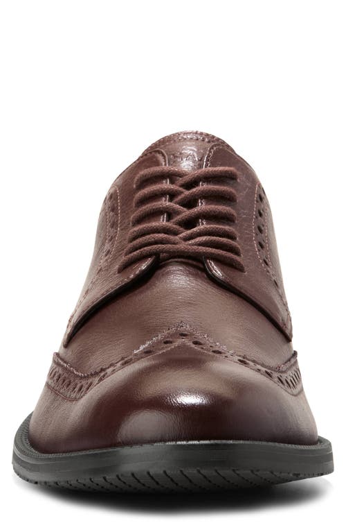 Cole Haan Modern Essentials Wingtip Oxford In Madeira
