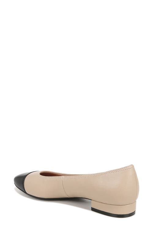 Shop Lifestride Cameo Flat In Black/tender Taupe-dm