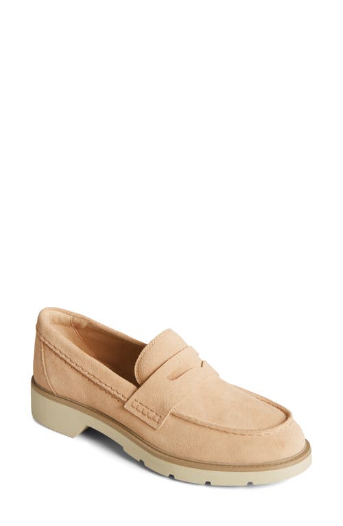 Shop Sperry Top-sider® Wells Penny Loafer In Sand