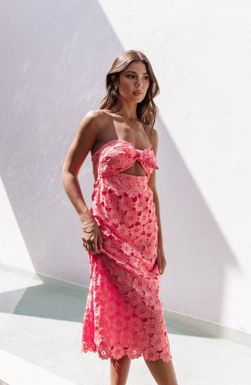 Petal And Pup Petal & Pup Tyler Lace Strapless Maxi Dress In Pink