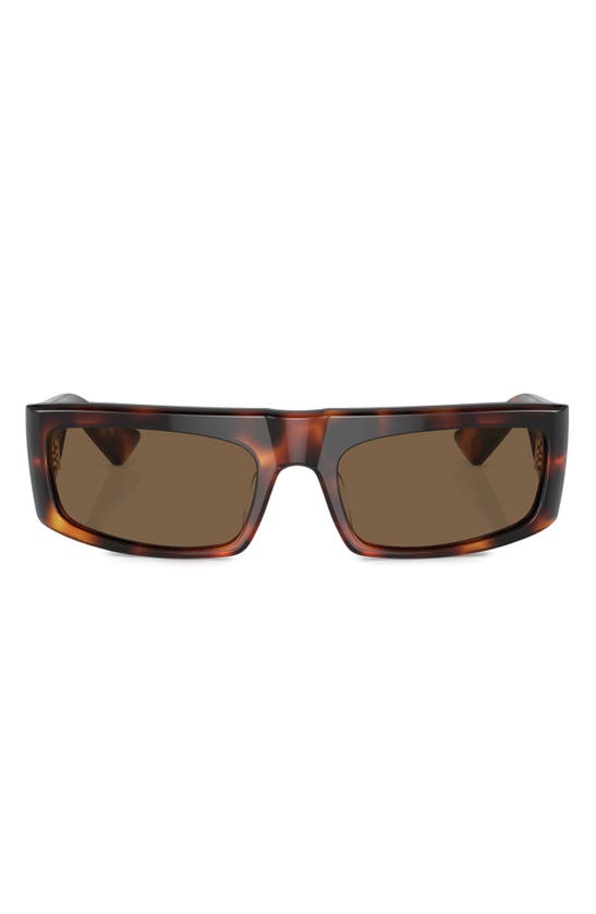 Oliver Peoples X Khaite 1979c 56mm Rectangular Sunglasses In Brown