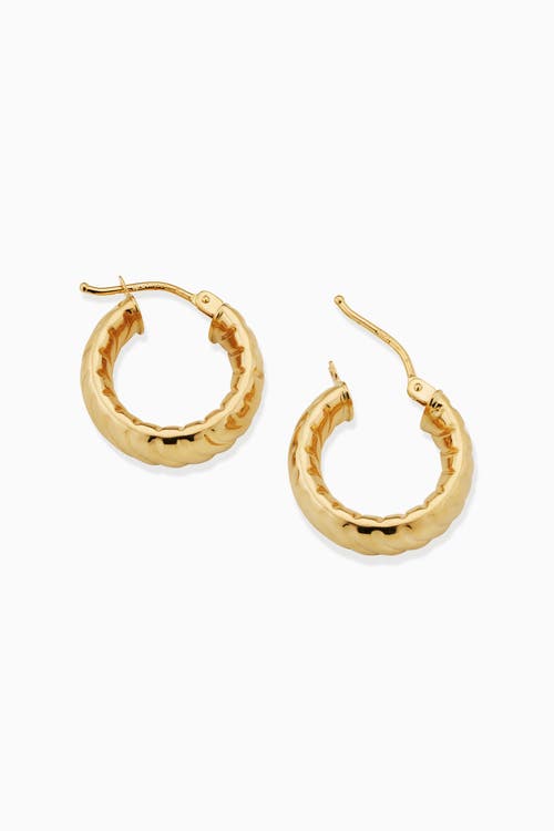 Oradina 14k Yellow Gold Cobra Hoops In Yellow Gold