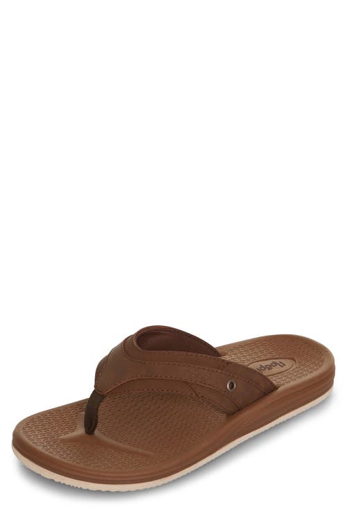 Shop Floopi Daniel Comfort Thong Flip Flop In Brown