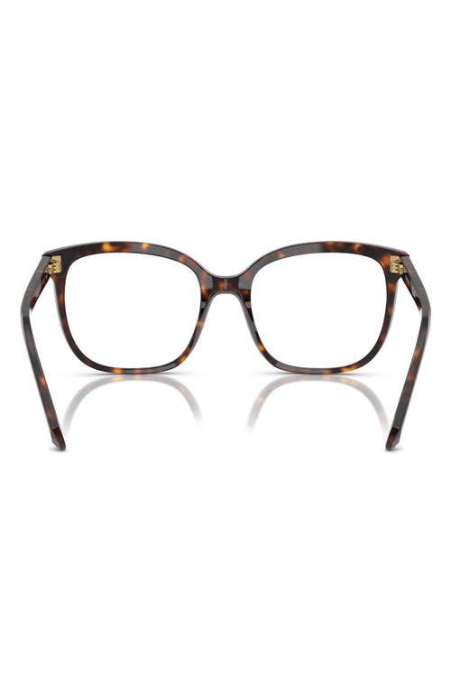 Swarovski 54mm Butterfly Optical Glasses In Havana