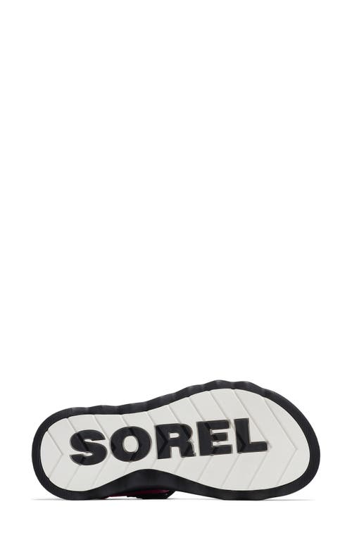 Shop Sorel Viibe Slingback Sandal In Fuchsia Fizz/black