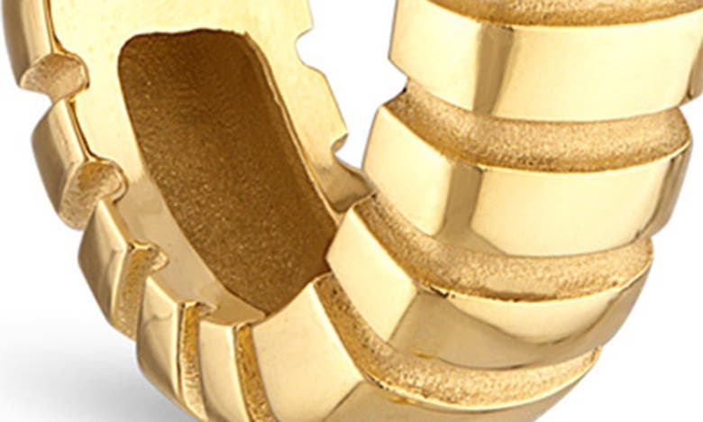 Pamela Zamore Orla Large Oval Hoop Earrings In Gold