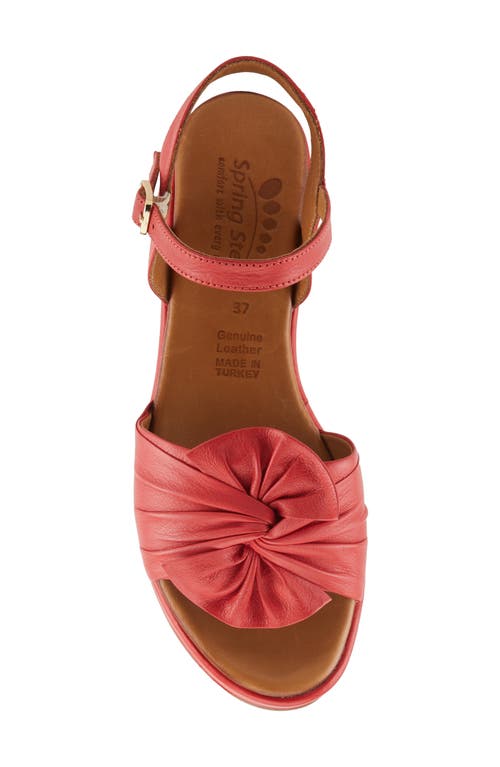 Shop Spring Step Wakefield Ankle Strap Platform Wedge Sandal In Light Red