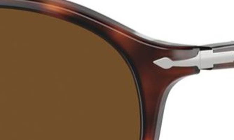 Persol Phantos 56mm Polarized Round Sunglasses In Havana