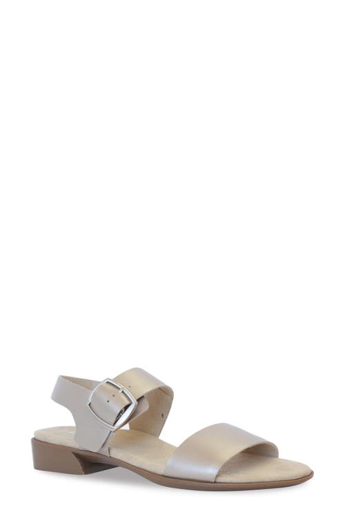Munro Cleo Sandal - Multiple Widths Available in Taupe Metallic at Nordstrom, Size 7.5