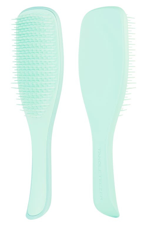 Tangle Teezer Ultimate Detangler Hairbrush For Fine & Fragile In Jade Lagoon