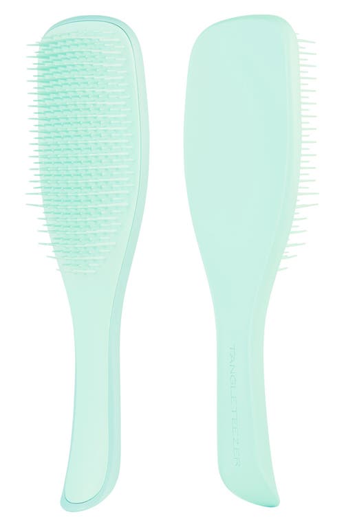 Shop Tangle Teezer The Fine & Fragile Ultimate Detangler Brush In Jade Lagoon