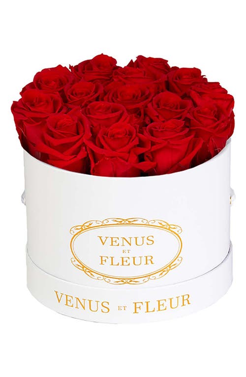 Venus ET Fleur Classic Small Round Eternity Roses in Red at Nordstrom