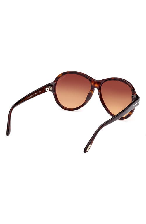 Tom Ford 59mm Round Sunglasses In Dark Havana/gradient Brown